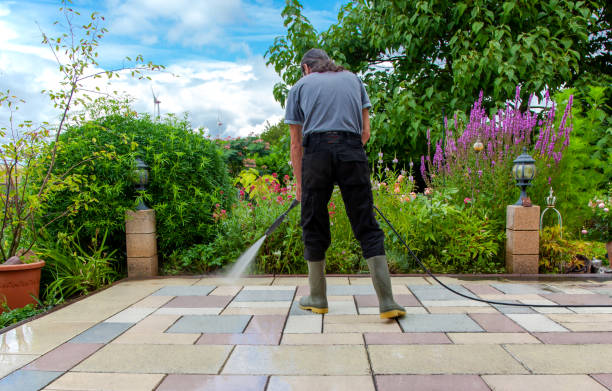 Best Parking Lot Cleaning in Cloverport, KY